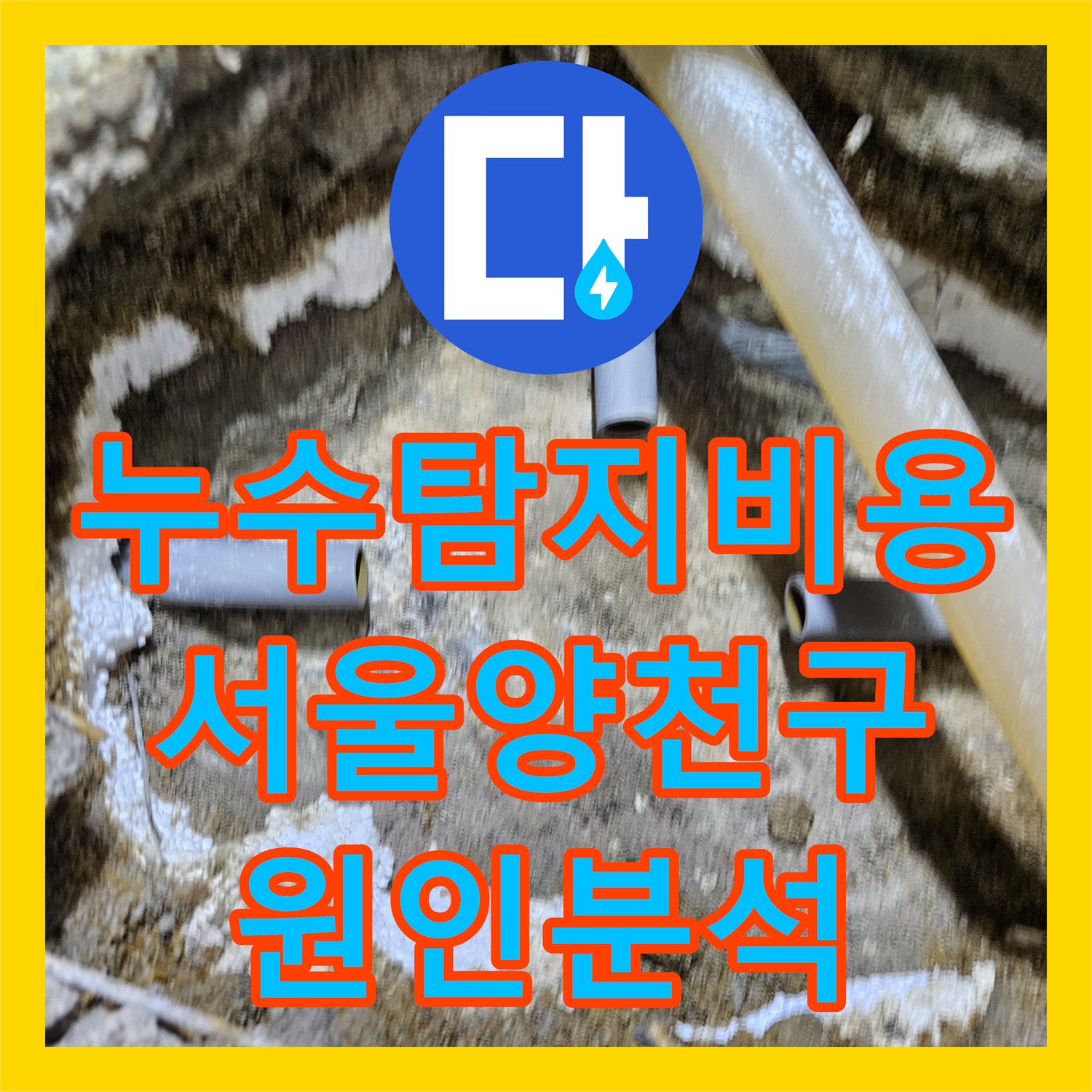 누수탐지비용 걱정보다 정확한 진단이 우선인 서울 양천구 현관 천장 누수
