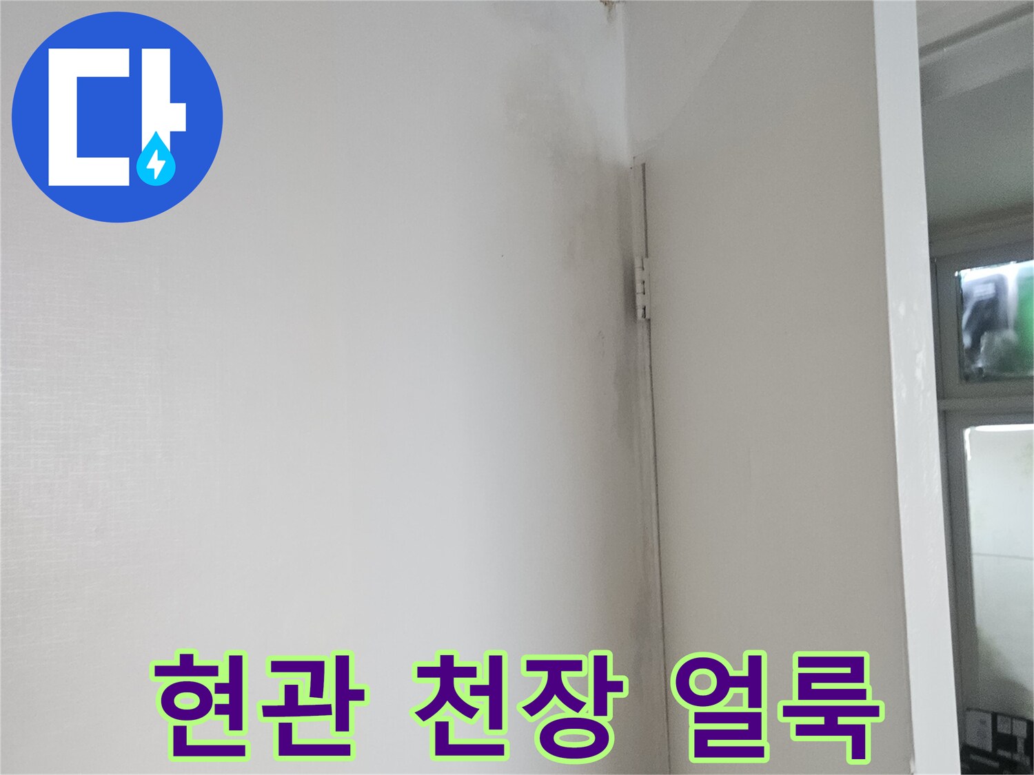 양천구 현관 천장 부근의 습기로 인한 변색된 얼룩 상태
