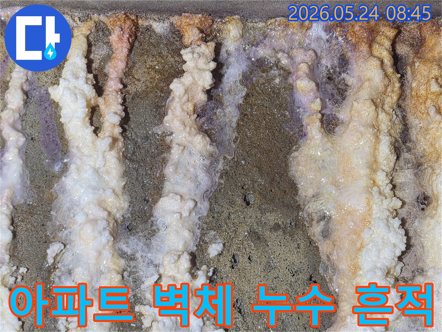 아파트-벽면에-오랜-누수로-인해-발생한-심각한-백화현상과-물-자국-도배-전-필수-제거