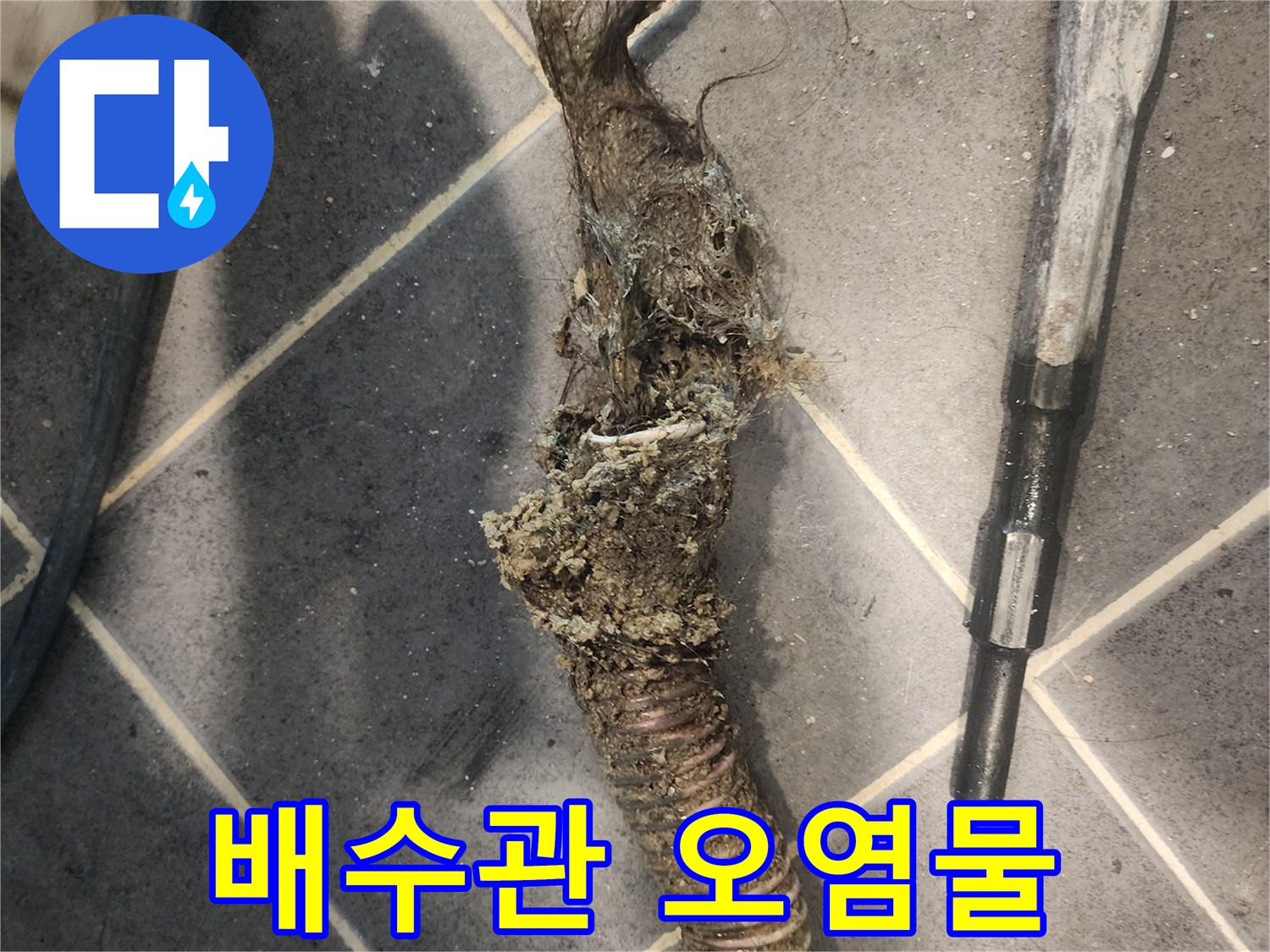 배수관에서-제거된-머리카락과-생활-이물질-뭉치로-인한-심각한-막힘-현장