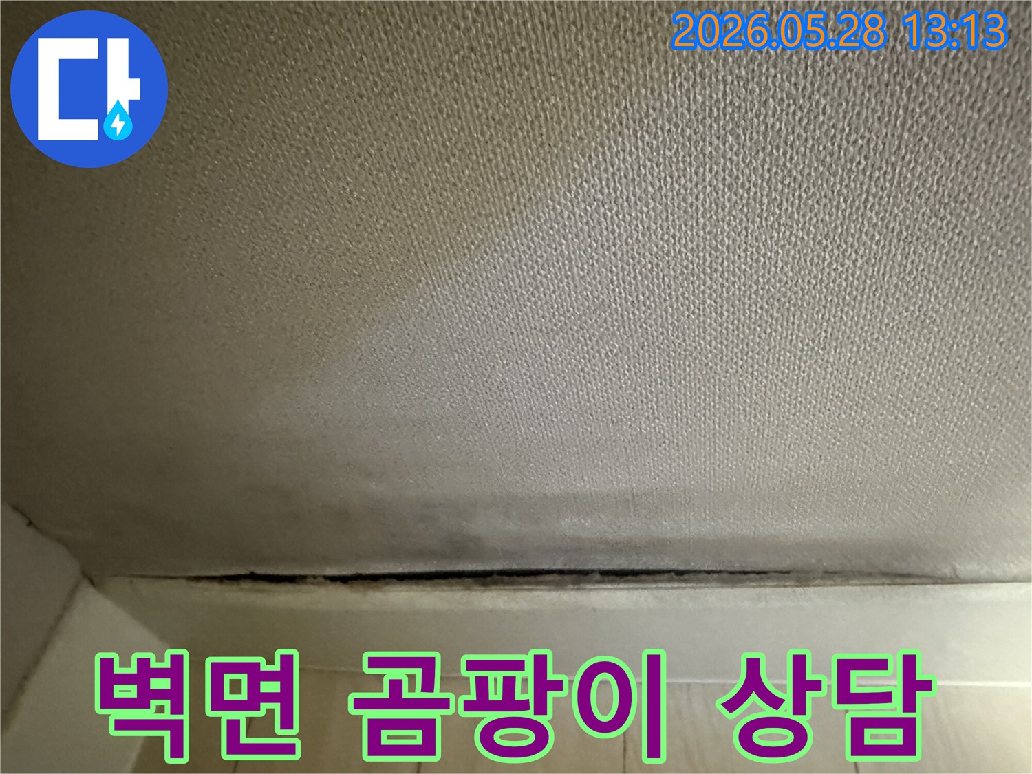 벽지 하단에 발생한-곰팡이와 누수로 인한-변색에 대한-전문가 상담이 필요한 모습