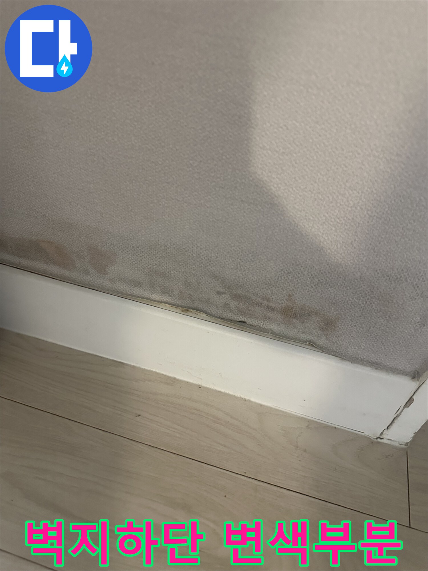 서대문구 아파트 벽면 하단부의 곰팡이와 변색된 벽지 상태