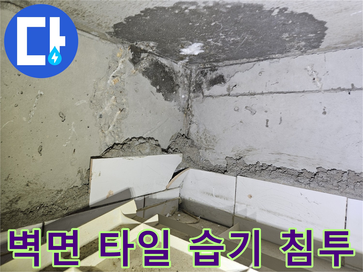 콘크리트-벽면과-타일-사이의-심한-습기와-얼룩-상태