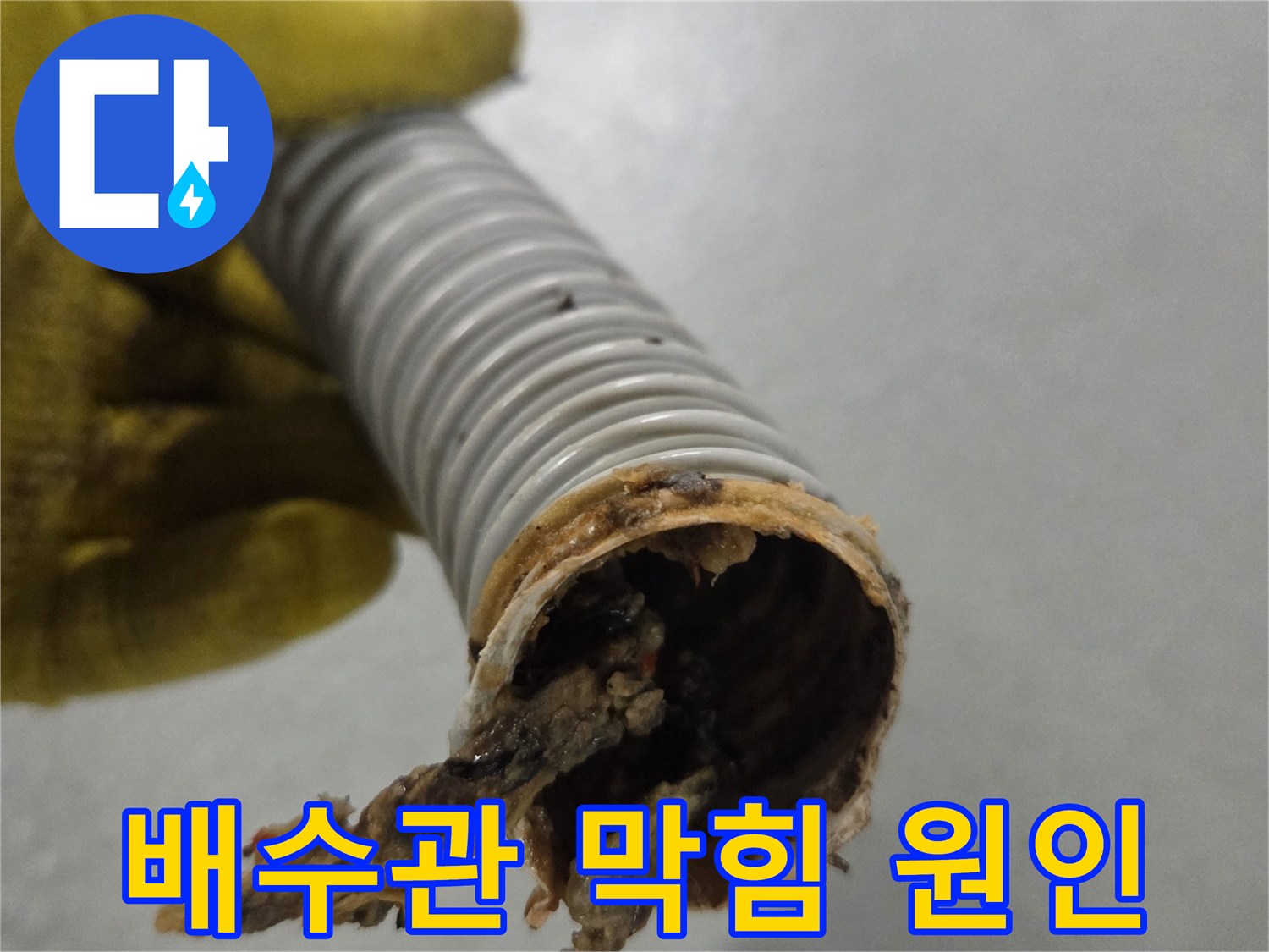 노란 장갑을 낀 손이-심각하게 오염된 배수관 내부를-면밀히 검토하고 있는 모습입니다.