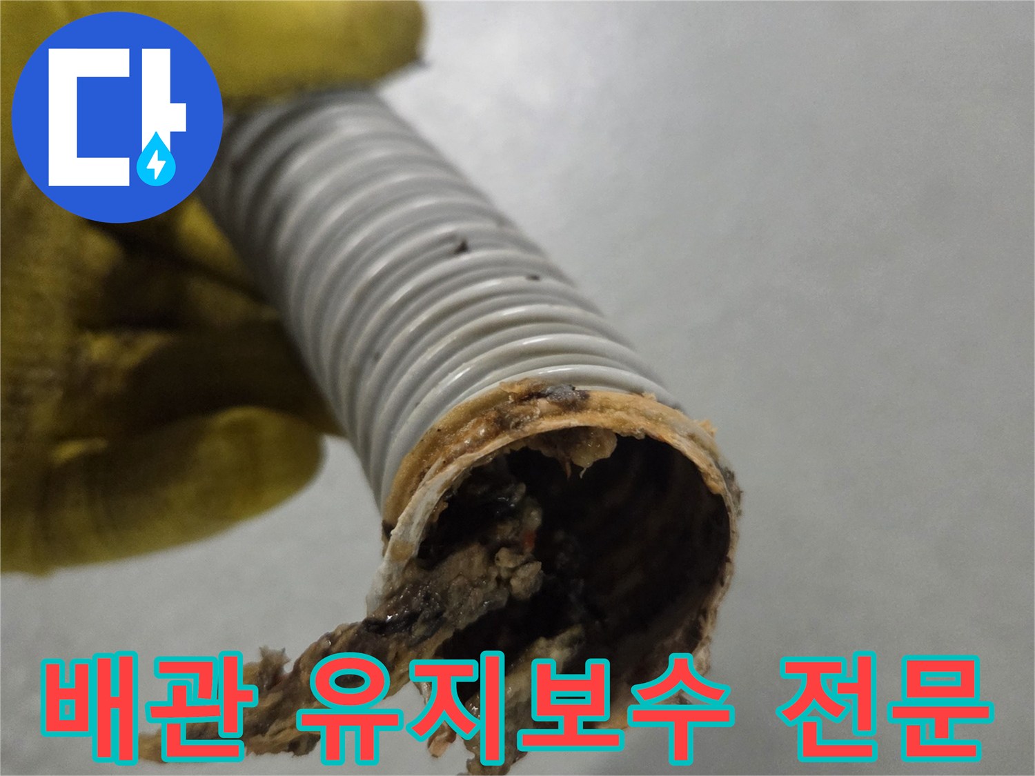 노란색 장갑을 낀 손이-유지보수가 필요한-오염된 배수관을 들고 있습니다.