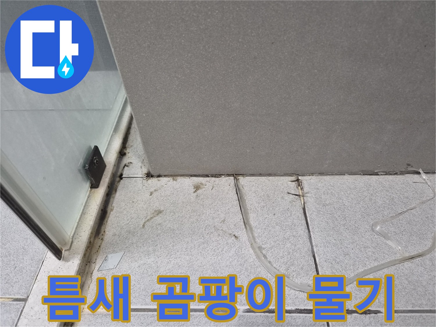 욕실-바닥-타일-틈새에-지속적으로-물이-고여-검은색-곰팡이가-발생한-현장-사진