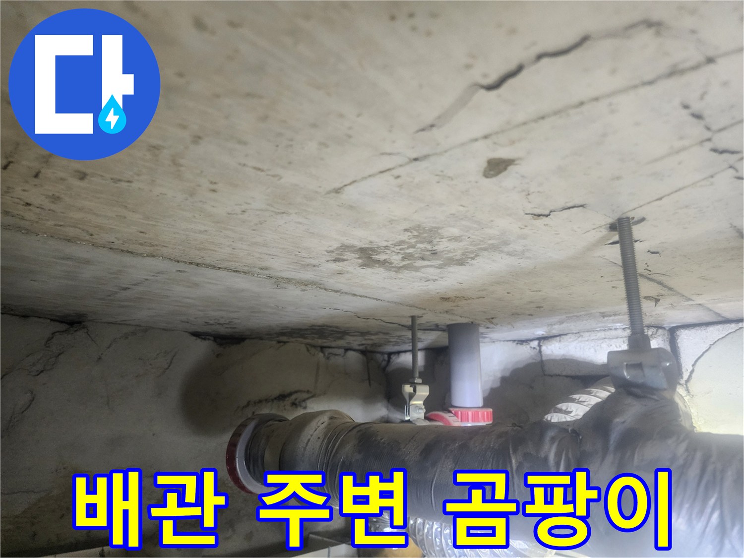 천장-배관-주변에-누수로-인해-발생한-곰팡이와-오염을-보여주는-사진입니다