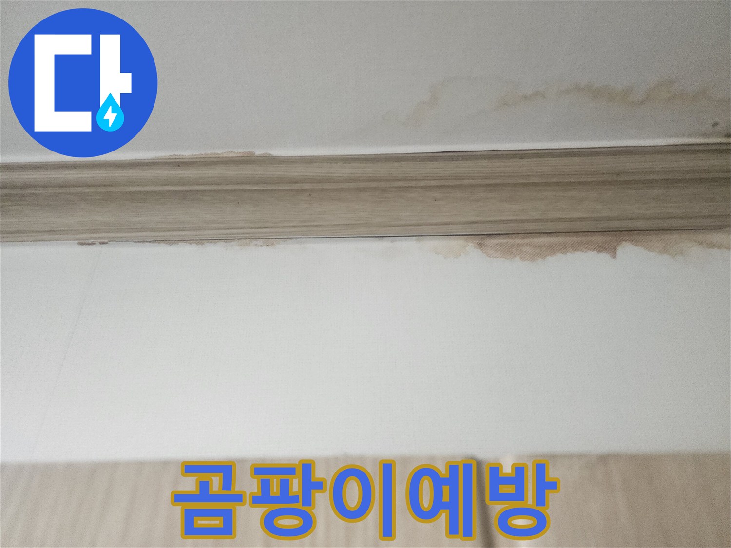 천장과 벽면 경계의-물자국은-곰팡이 발생 전-누수 해결이 시급함을-보여주는 이미지입니다.