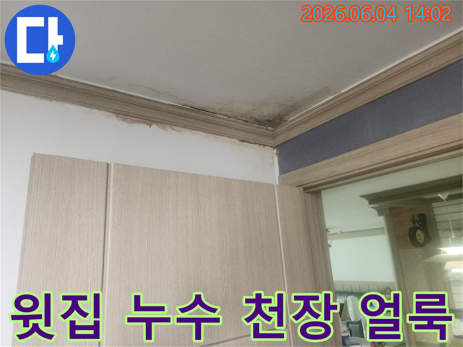 천장과 벽면 몰딩에 누수로 인한 심한 얼룩과 곰팡이가 발생한 아파트 내부 모습입니다