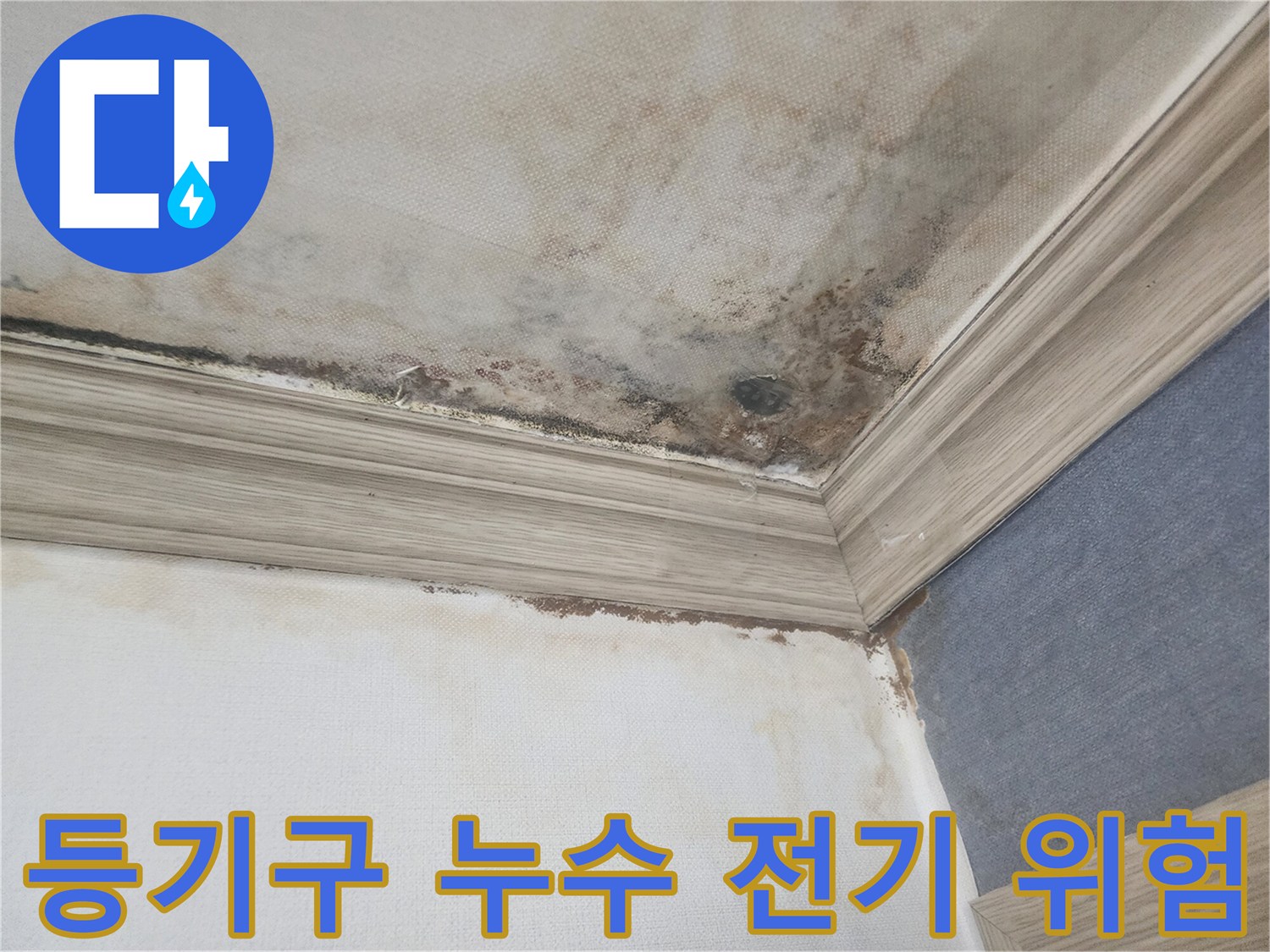 평택 아파트 천장 등기구 주변에서 누수가 발생하여-전기 안전 위험이 있는-긴급 조치가 필요한 현장입니다.