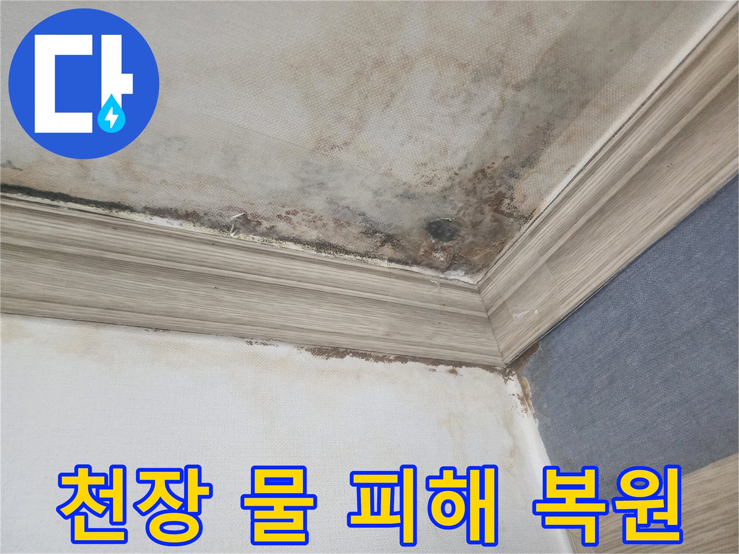 평택 아파트 천장에 심각한 물 피해와-곰팡이가 발생한 현장에서-누수 복원 공사를 통해-원상 복구를 진행합니다.