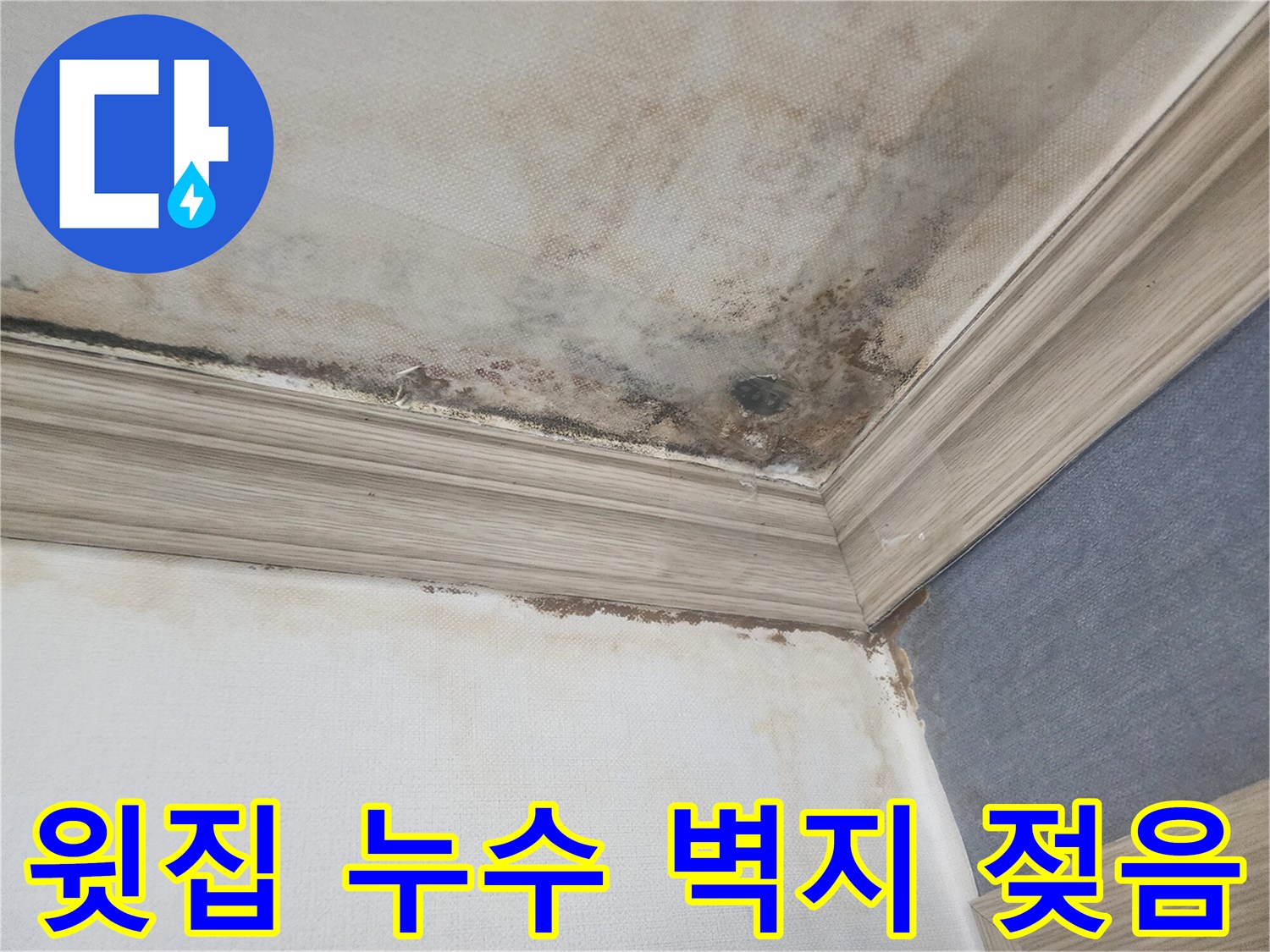 평택 아파트에서 윗집 누수로-인해 천장 벽지가 젖고-곰팡이가 발생한 현장으로-정밀한 누수탐지가 필수적입니다.