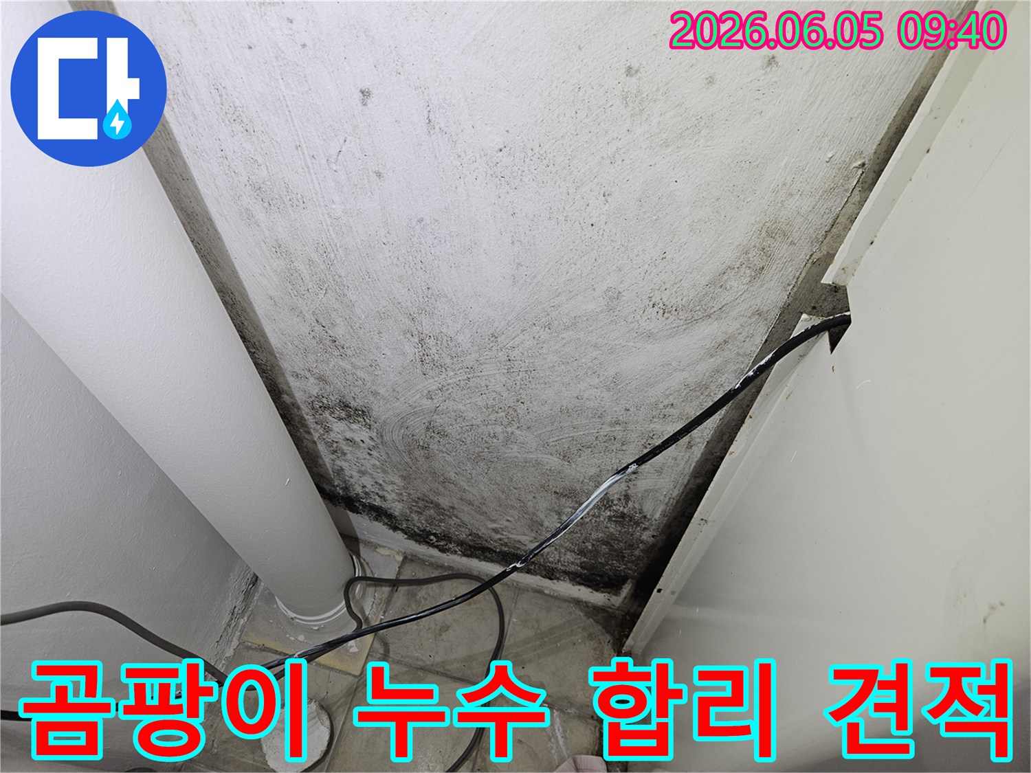 곰팡이-누수-현장을-정밀-탐지하여-합리적인-누수-탐지-비용을-산정하는-과정