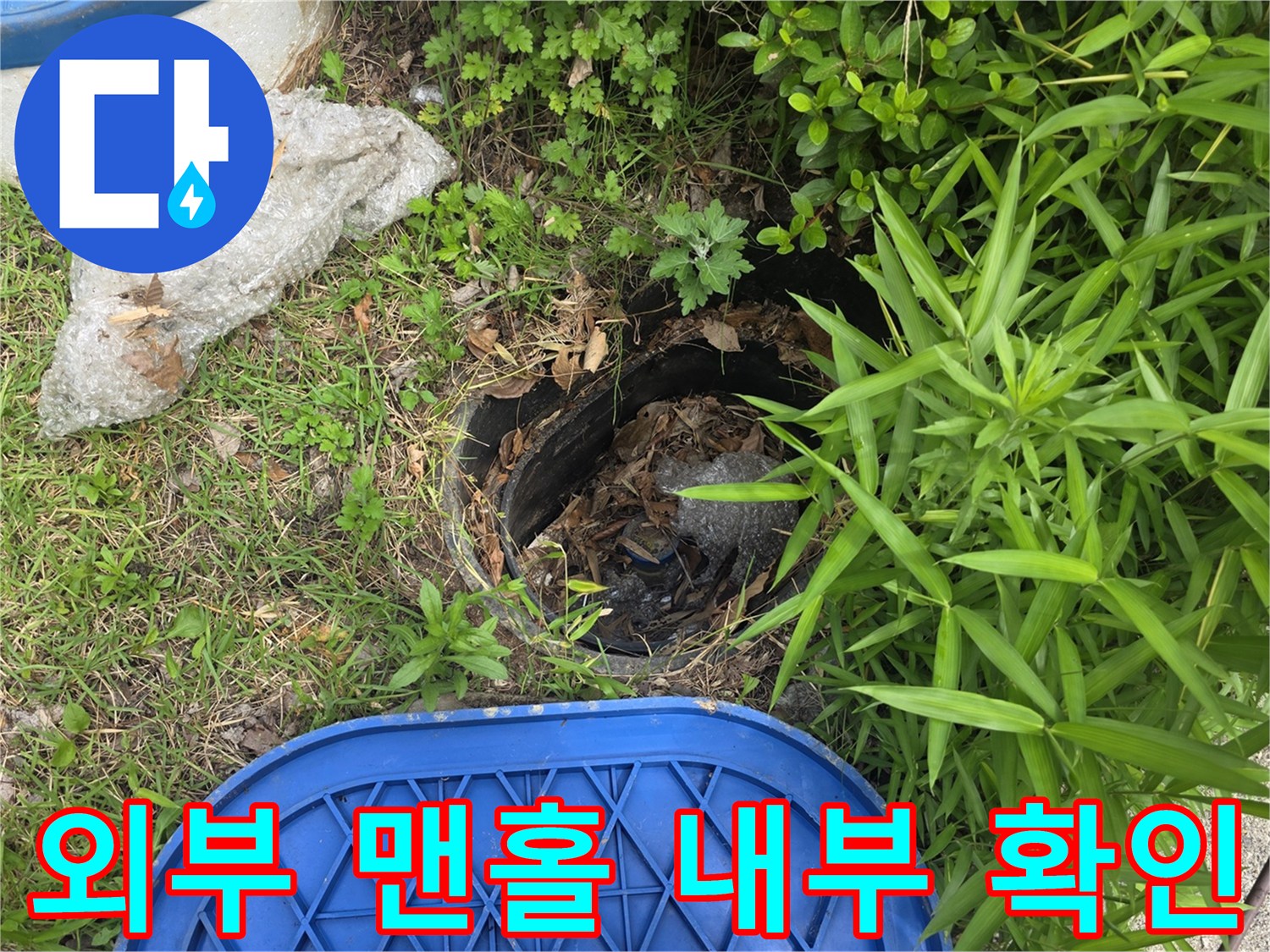 기흥구 현장의 외부 배관 점검구와 주변 식생 모습입니다.