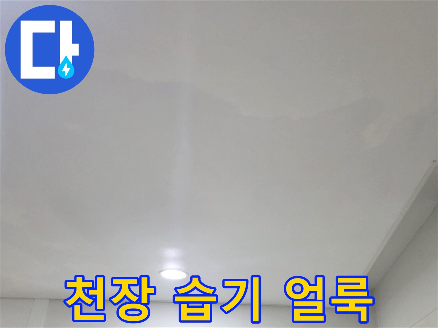 일산서구 거실 천장의 누수 피해 및 변색 부위