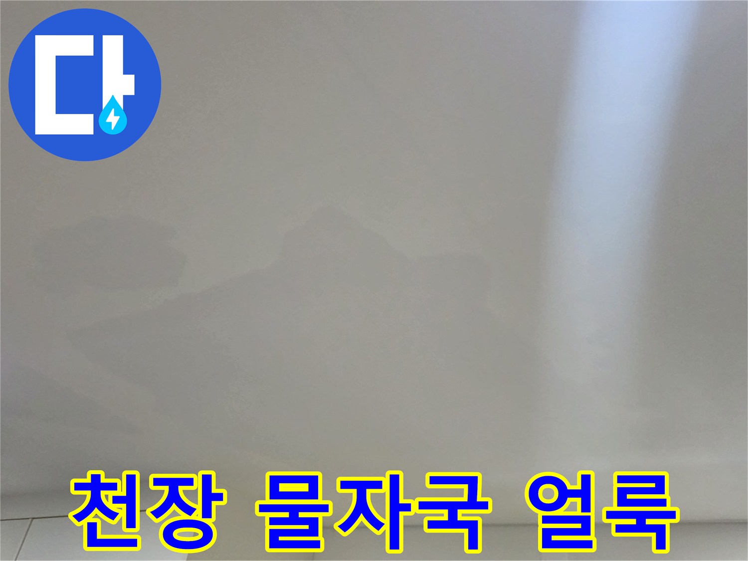 일산서구 아파트 거실 천장에 발생한 넓은 범위의 물샘 얼룩 현상