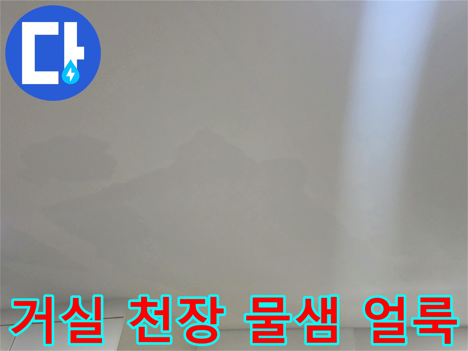 일산서구 아파트 거실 천장의 광범한 누수 흔적과 변색된 벽지 상태