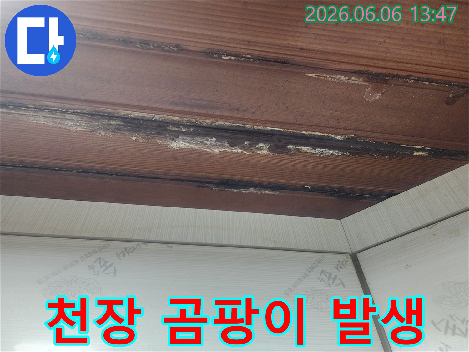 천장-목재-틈새로-물이-새어-나와-곰팡이가-생긴-모습을-보여줍니다