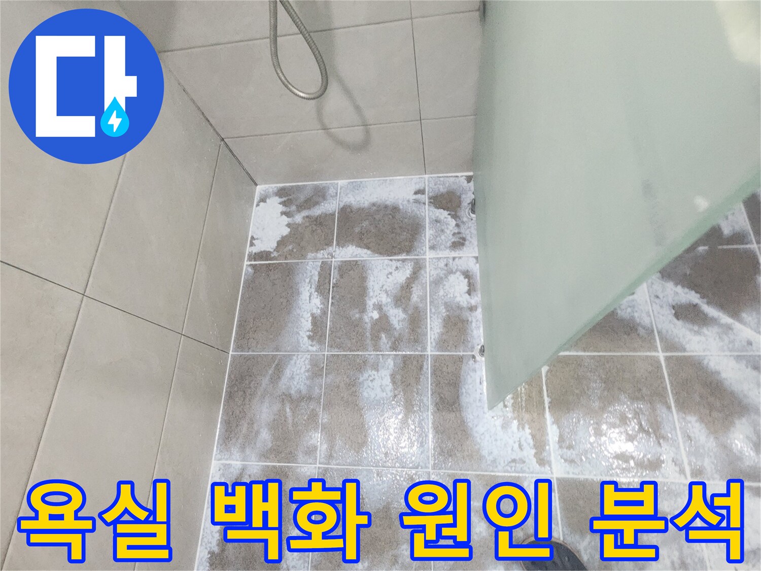 욕실 바닥 타일 줄눈에 하얗게 나타난 백화 현상으로-물이 지속적으로 침투하고 있음을 보여주며 원인 분석이 필요한 이미지