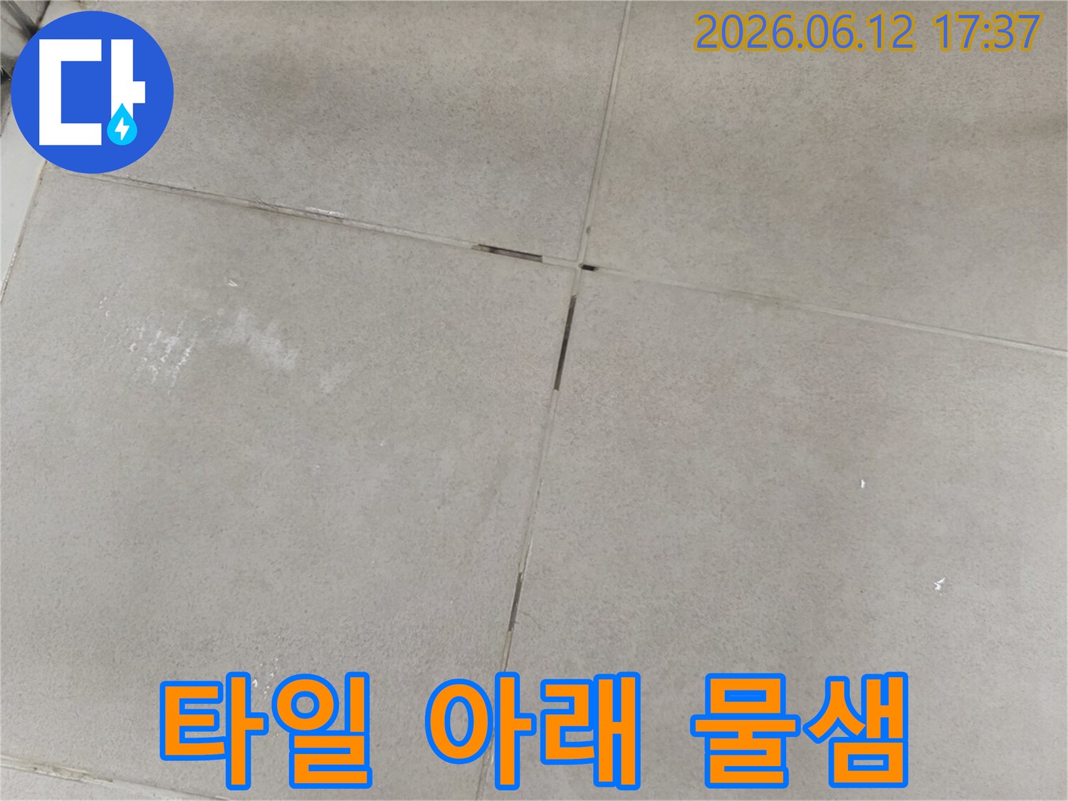 타일 틈새로 스며나오는 물기를-전문가가 정밀하게 관찰하여 누수 지점 파악