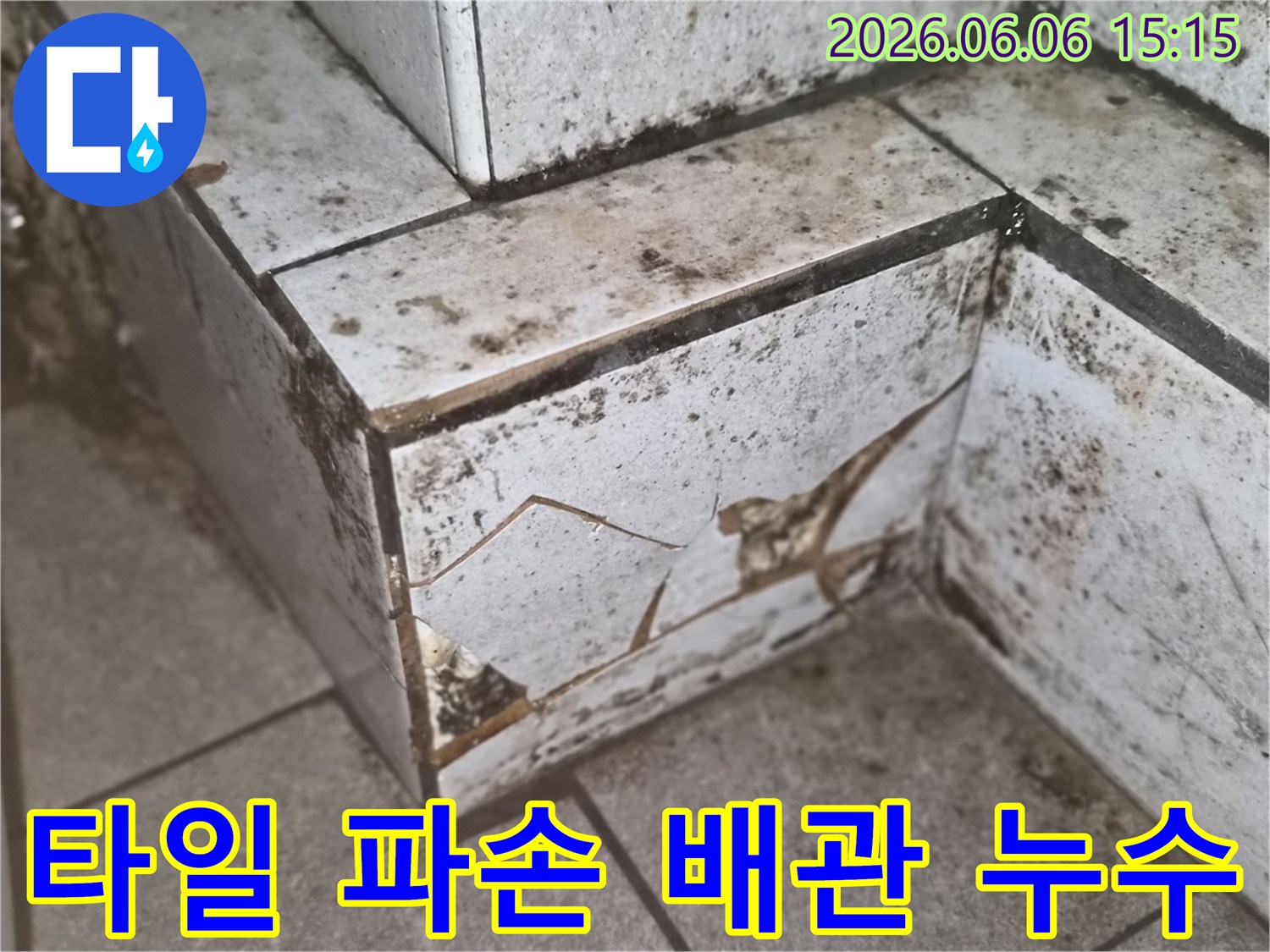 타일의 심각한 파손과-주변의 물 자국-곰팡이를 통해-배관 누수 가능성을 시사하는 사진