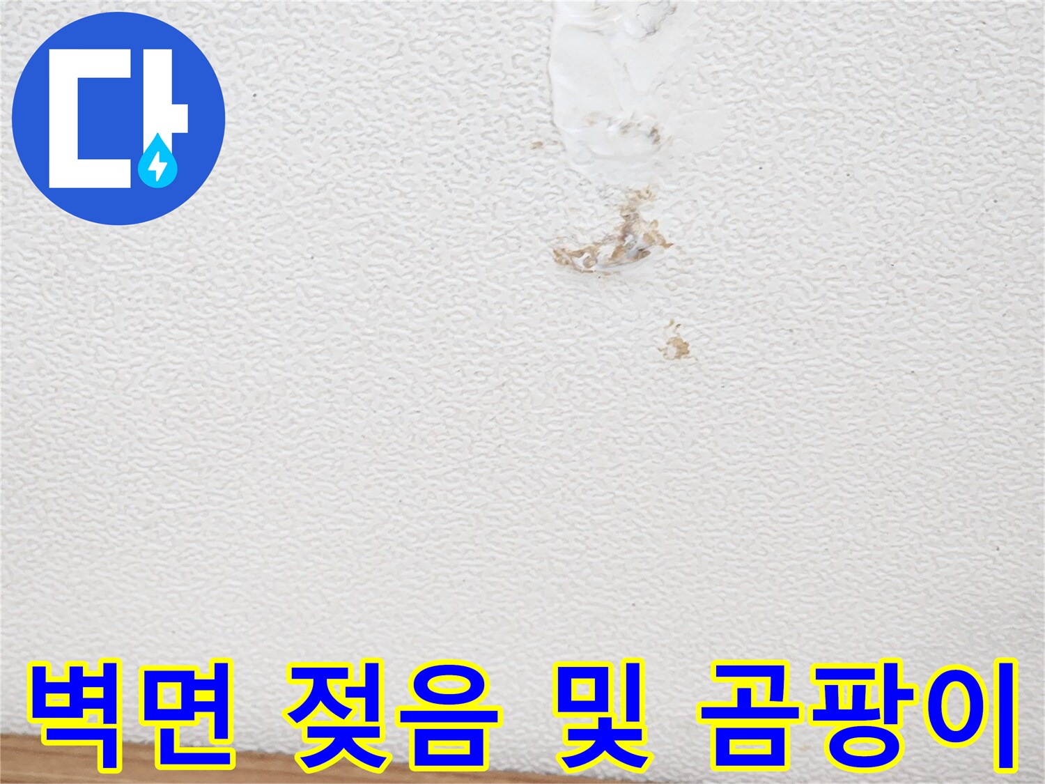 상가건물-벽면의-젖은-흔적과-곰팡이-발생-상황을-조사하는-모습