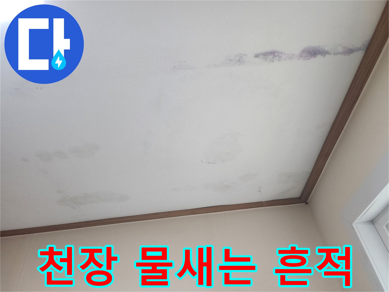 천장에서 물이-새어 나와-얼룩진 모습을-보여주는 사진