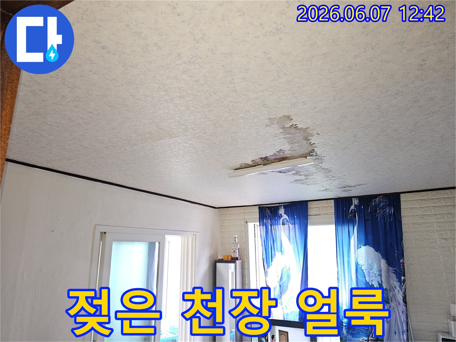 배관-문제로-천장이-젖어-곰팡이가-생기기-시작하는-누수-상황
