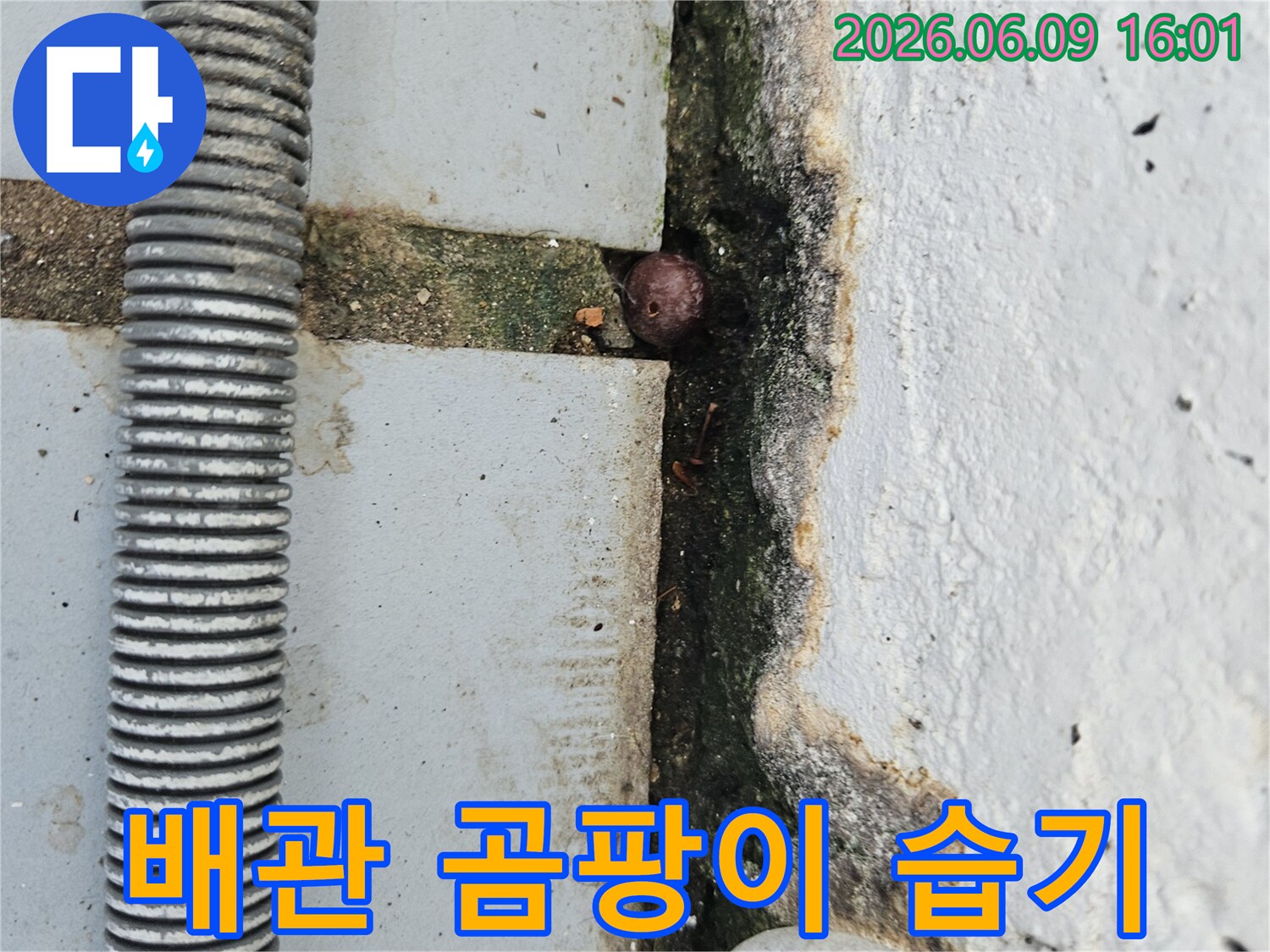 낡은 주름 배관 주변에 발생한 짙은 곰팡이와-벽면의 오염-그리고 균열 틈새의 이물질을 보여주는 누수 현장 이미지