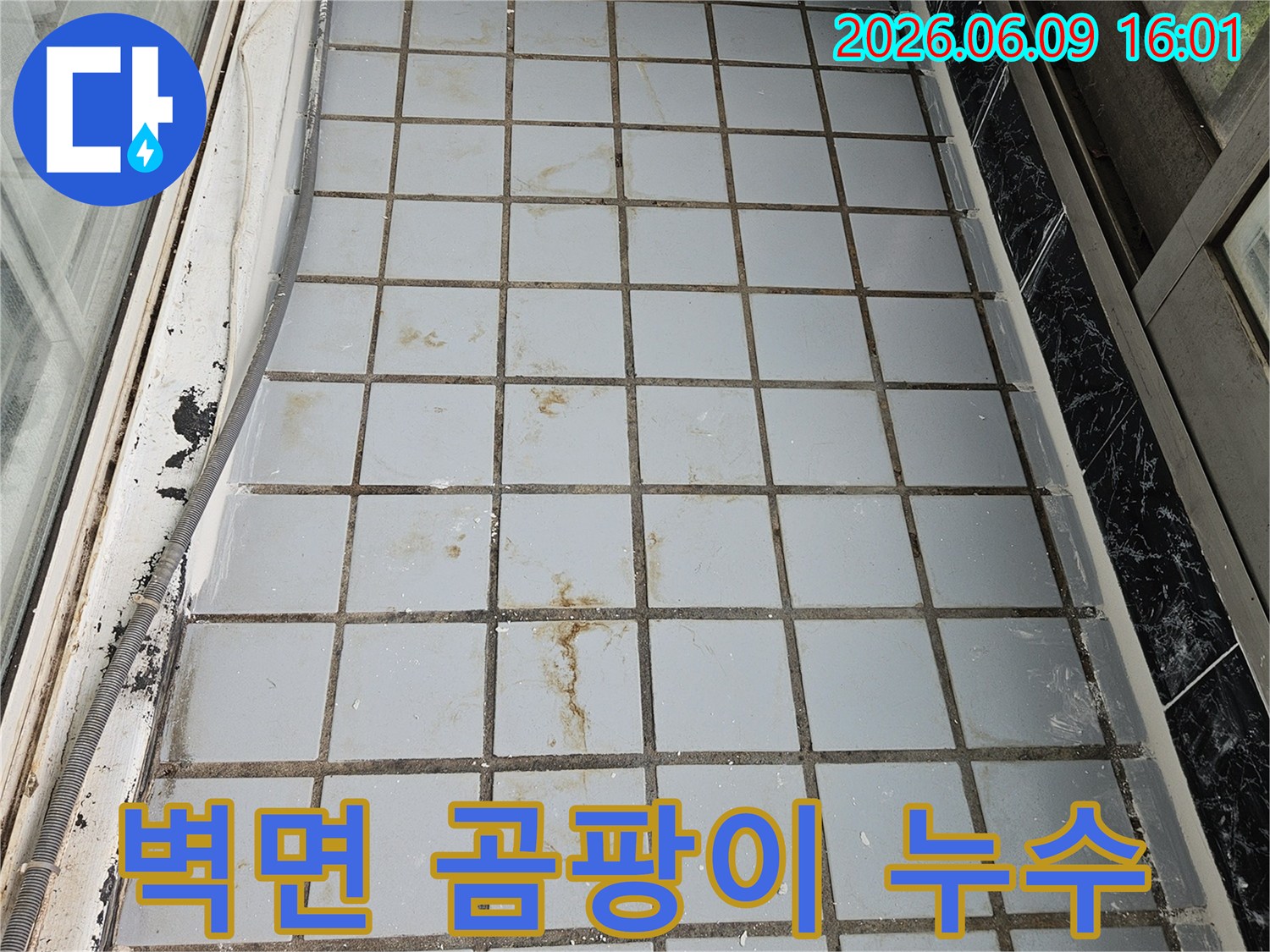 누수 탐지 중 촬영된-타일 벽면의 갈변된 물-자국과 손상-부위를 명확히 보여주는 사진