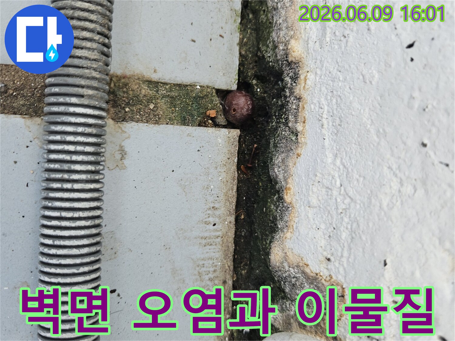 벽면 하단의 심한 오염과-균열 틈새에 박힌 작은 이물질-그리고 주변에 놓인 배관을 담은 누수 현장 사진