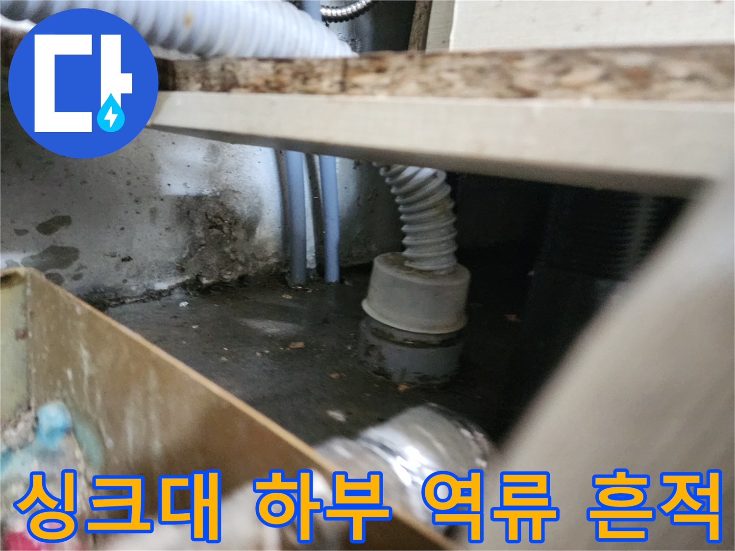 싱크대-배관-주변에-고인-역류수와-오물
