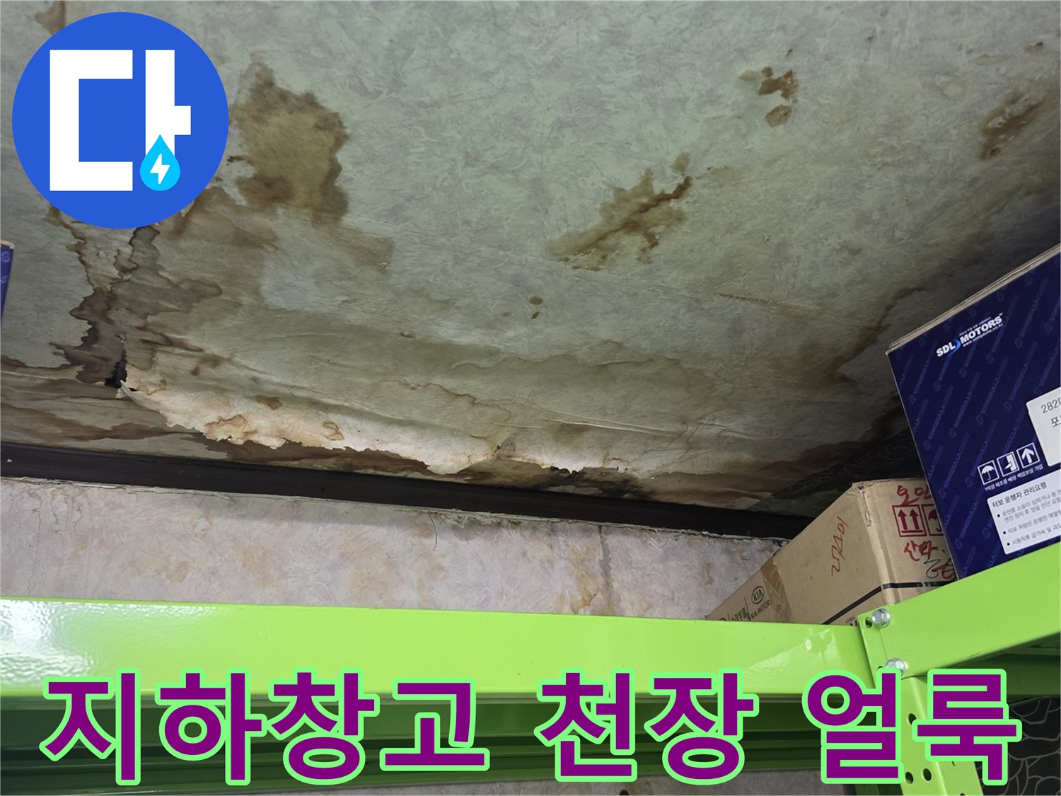 지하 창고 천장에 발생한 넓은 누수 흔적과 곰<0x8F>팡이 상태