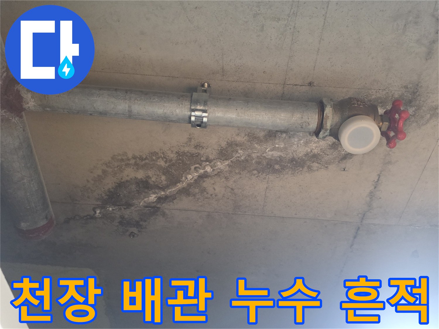 안양 비산동 아파트 천장 내부의 젖은 콘크리트와 배관 모습