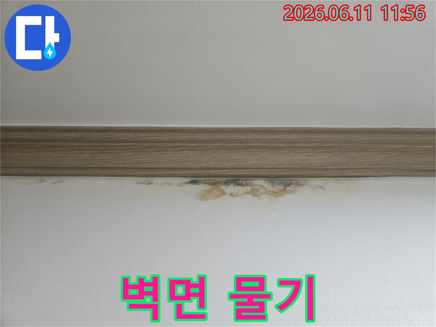 걸레받이-아래-벽지에-나타난-물자국과-곰팡이를-촬영한-사진입니다