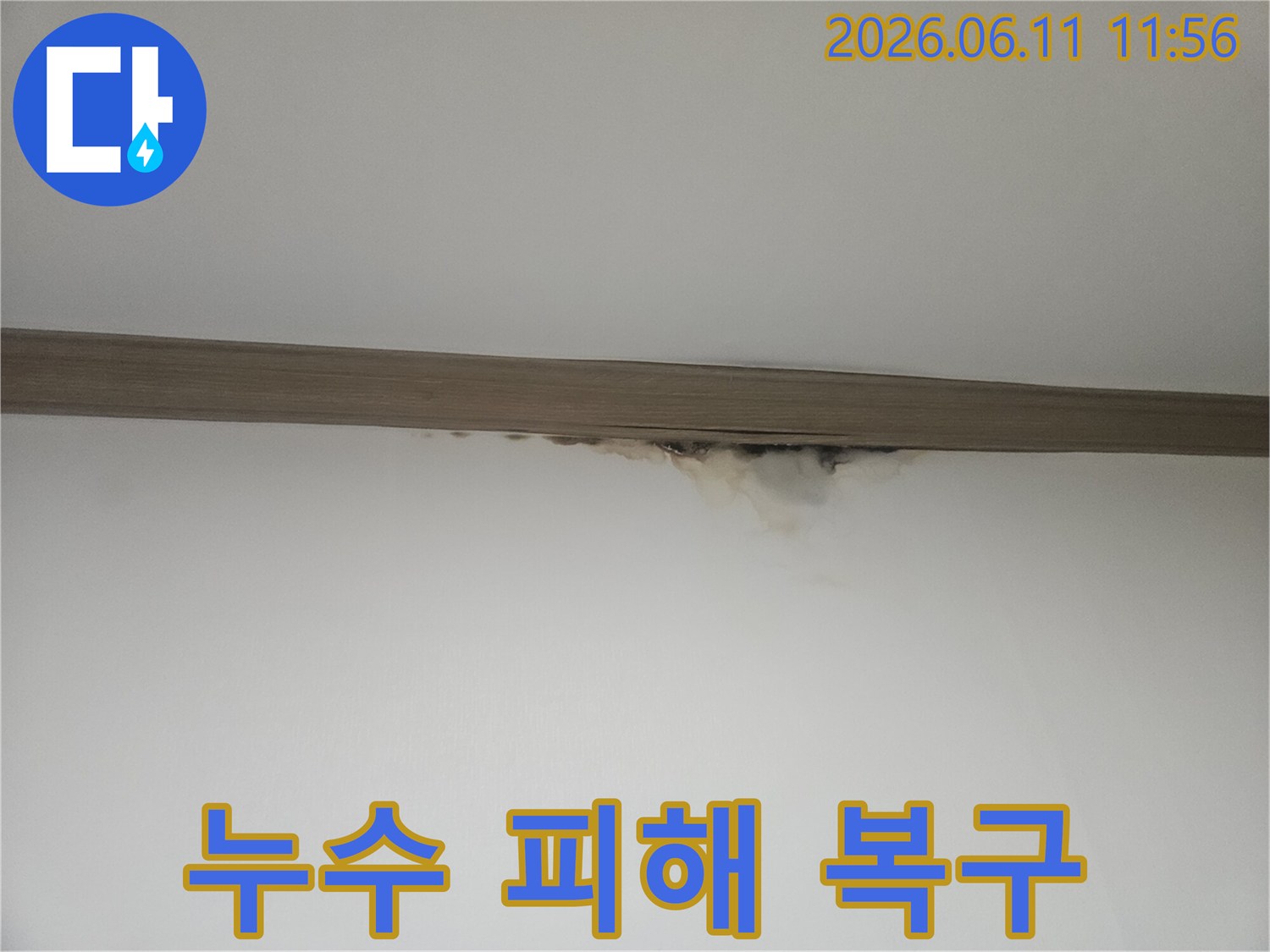 누수로 인해 벽지에 생긴-물자국과 곰팡이를-완벽하게 제거하고 복구해야 하는 현장