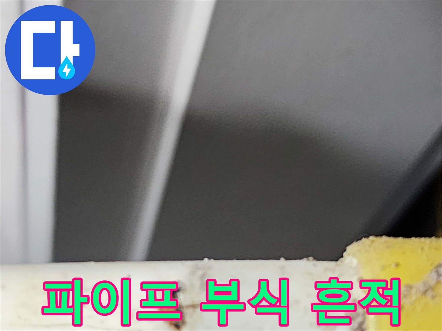 숙련된-전문가가-동대문구-주택에서-탐지한-물-새는-곳의-확대-사진입니다
