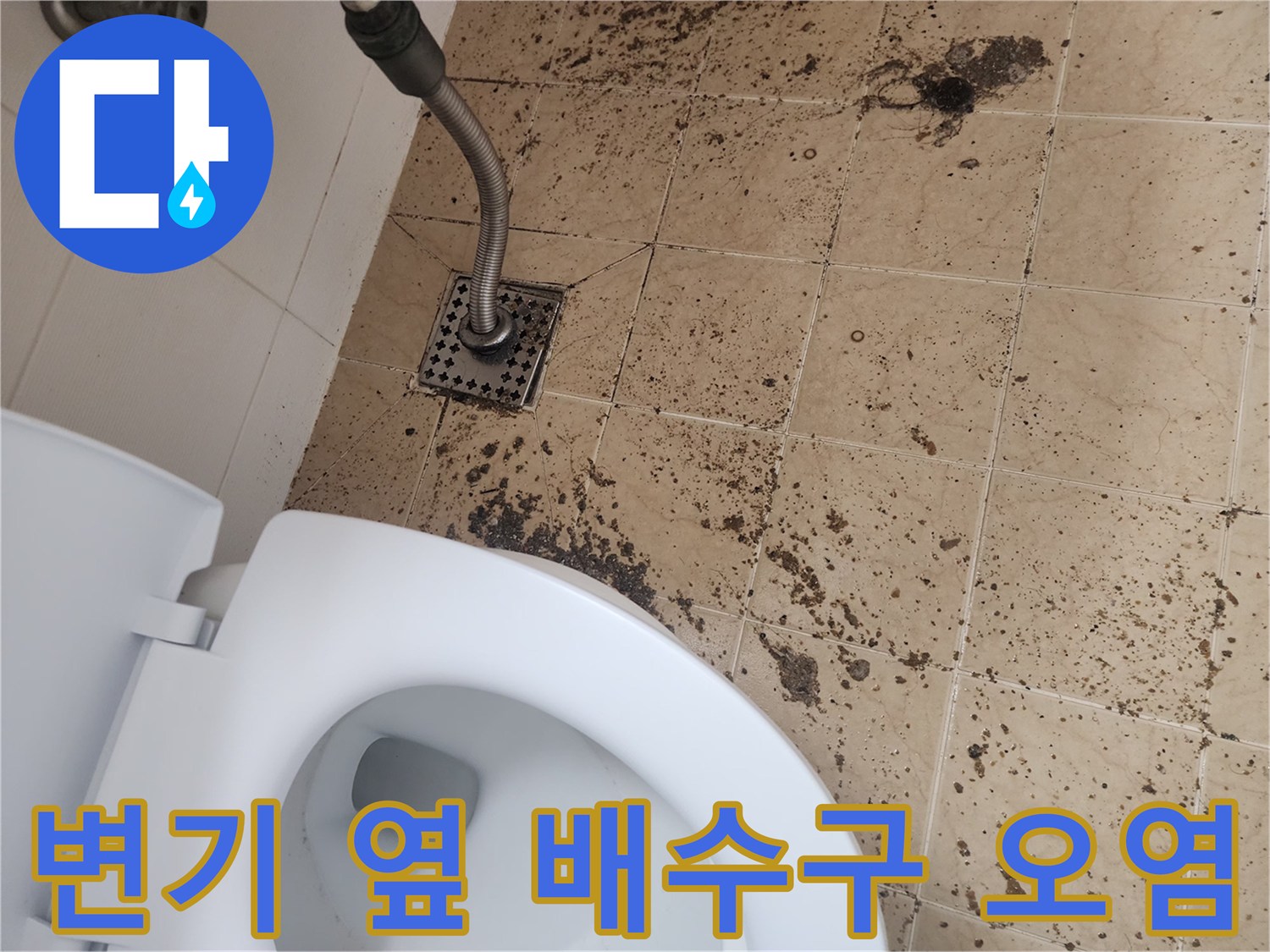 금곡동 현장-역류로 인해 오염된 변기 주변 바닥과 배수구 구조
