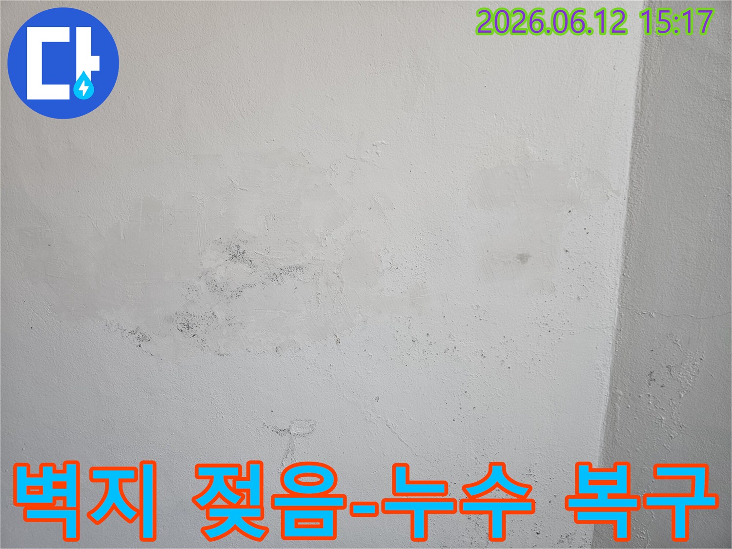 벽지가 젖고 곰팡이가 피어난 모습으로-명확한 누수 문제임을 보여줍니다