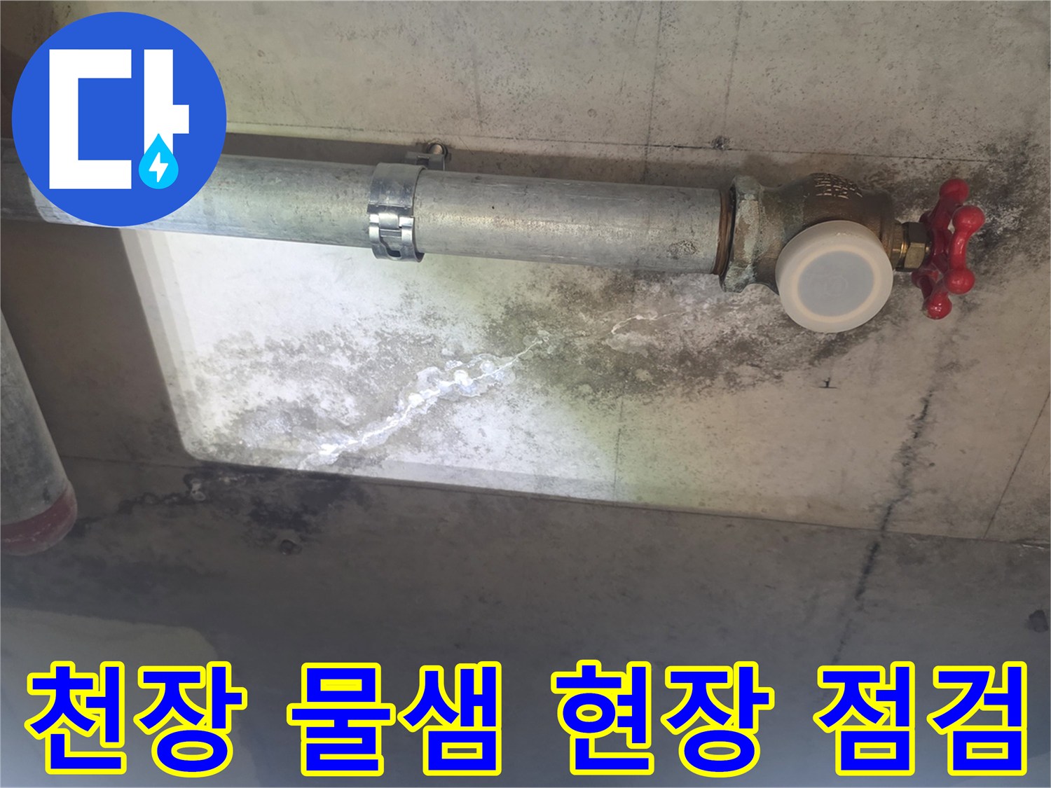 이 사진은 낡은 배관에서 물이 새어-천장 콘크리트에 스며들어-하얀 물 자국과-검은 곰팡이가 생긴 모습입니다