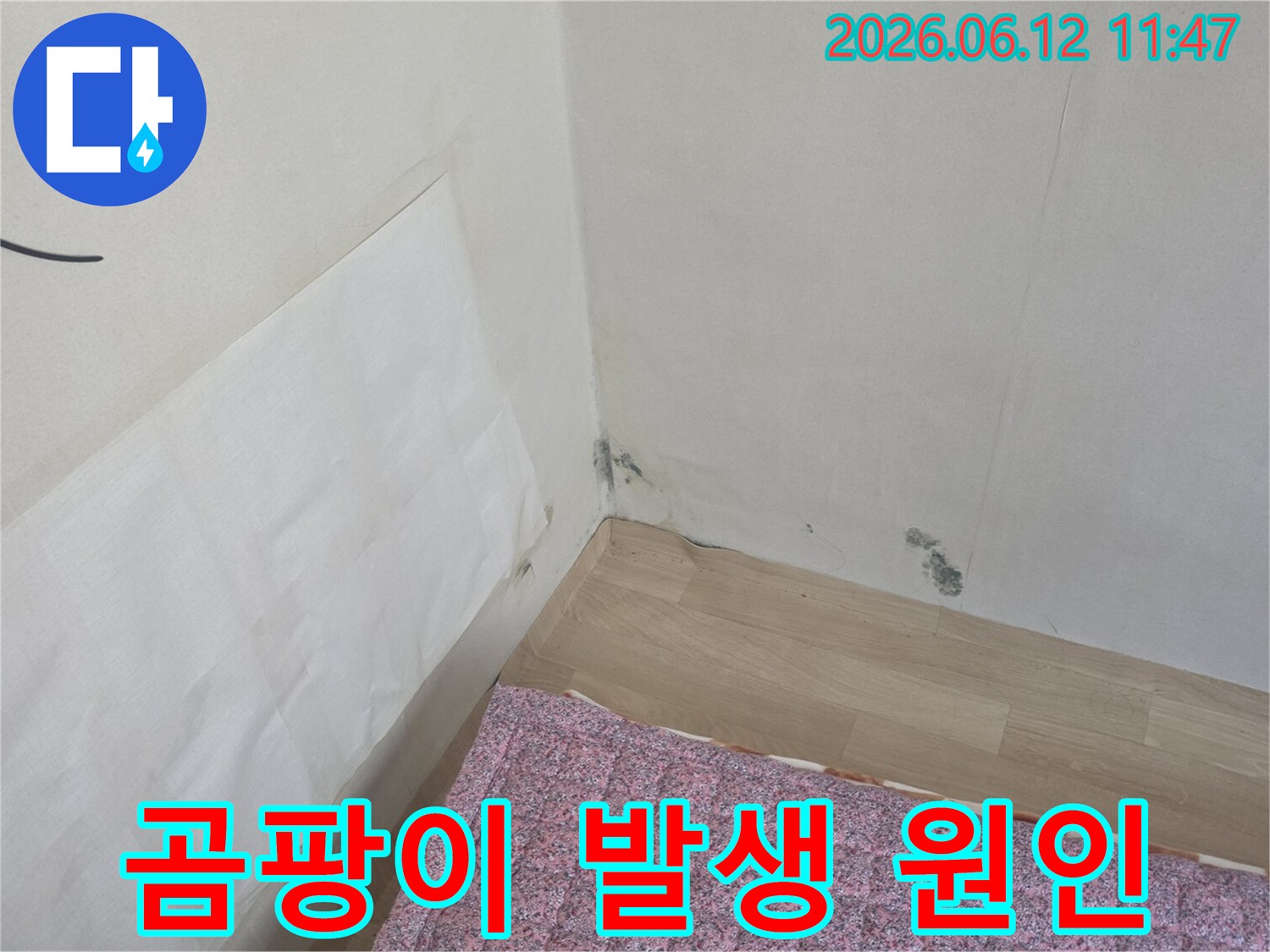 벽면 모서리에-짙게-피어난-곰팡이와-젖은-벽지-상태가-누수-문제의-심각성을-드러냅니다-신속한-진단이-요구됩니다.