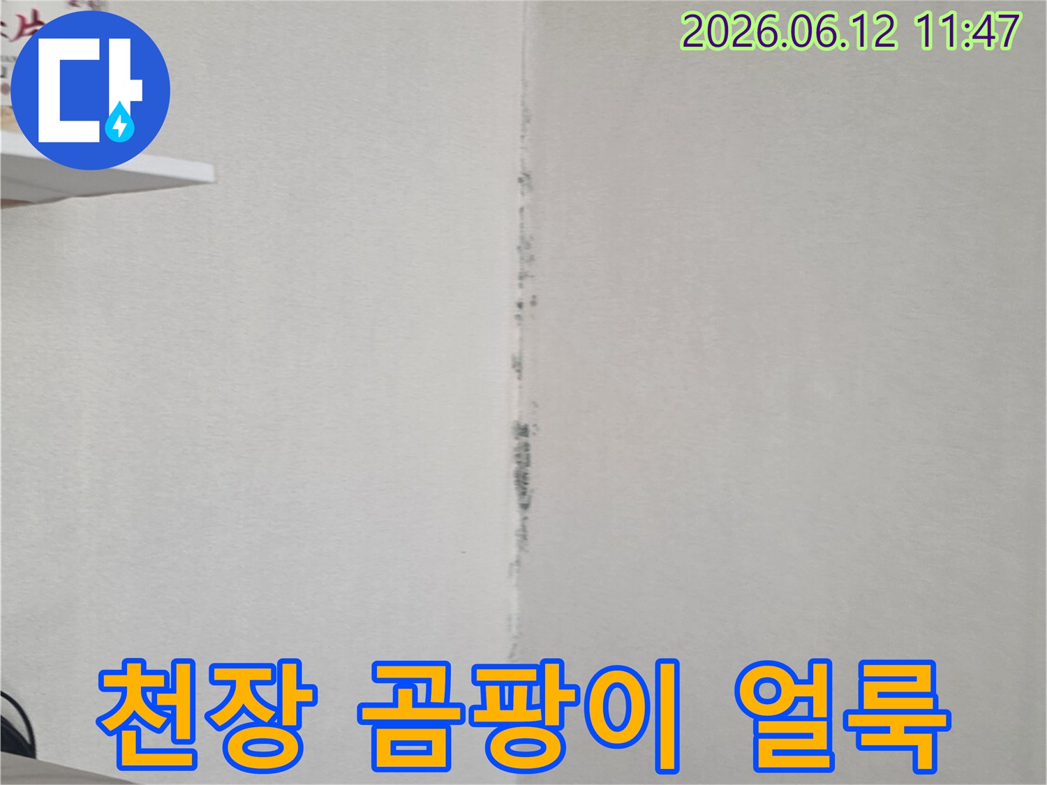 천장 모서리에 검은 곰팡이가 길게 번져 있어-누수 문제로 인한 습기 축적을 명확히 보여줍니다.