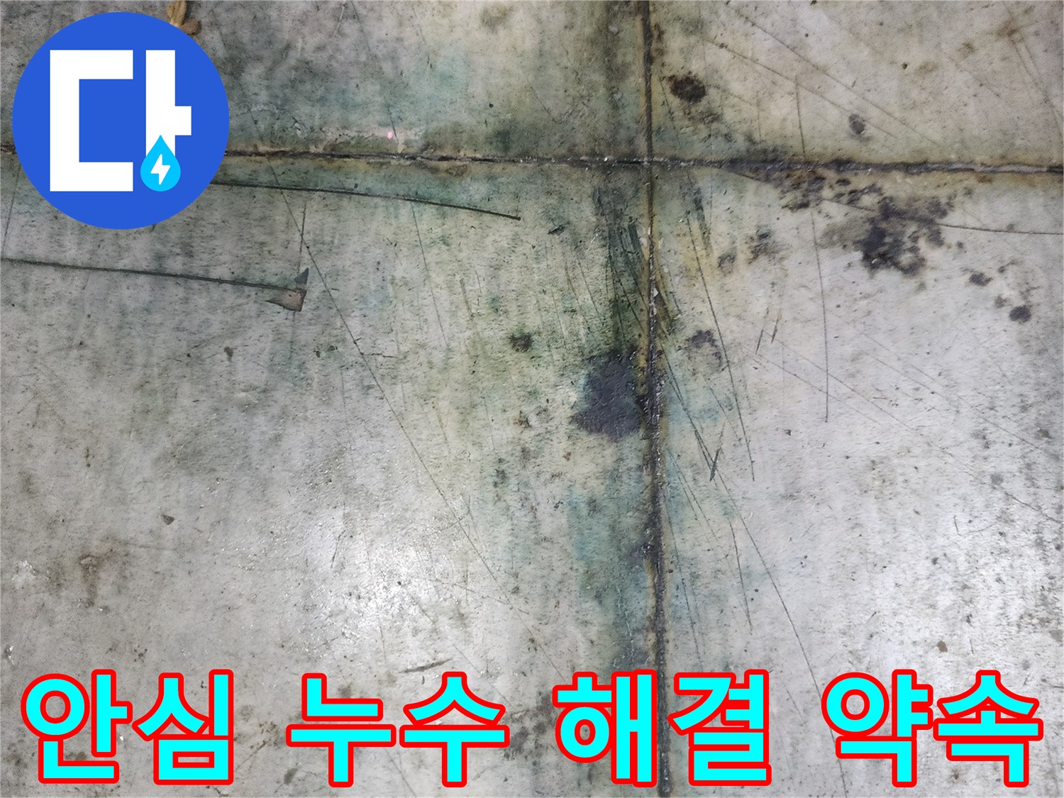 반찬가게 바닥의 누수 문제를-안심하고 맡길 수 있도록-전문가가 현장을 진단하는 모습
