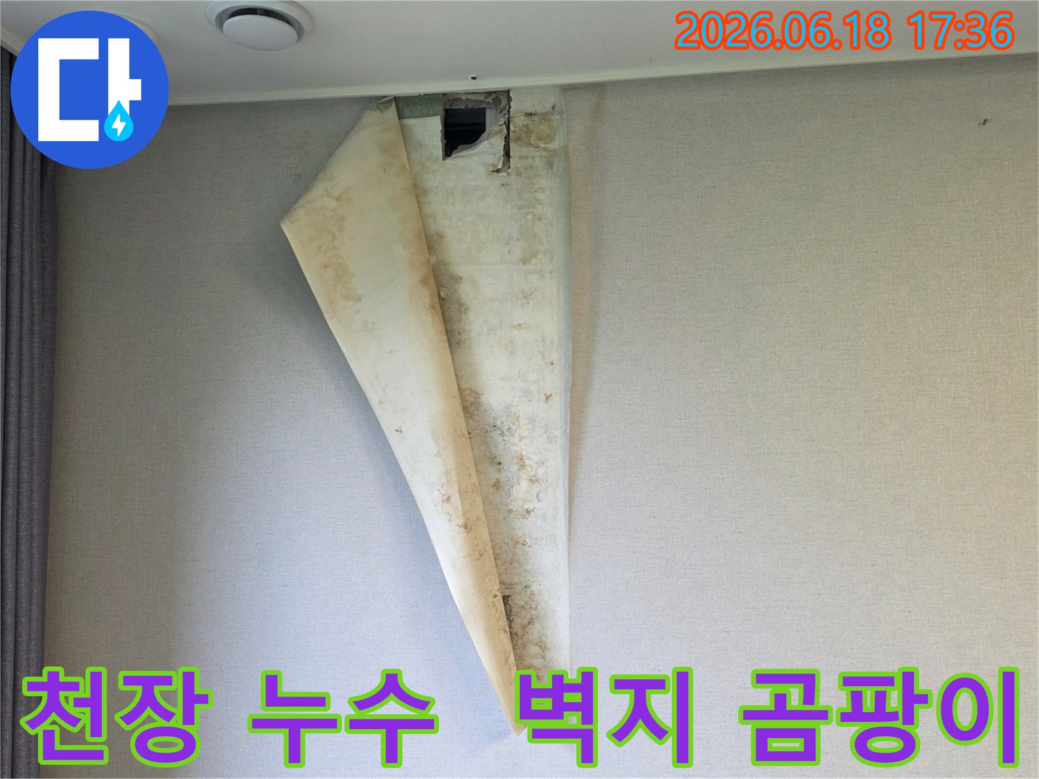 천장 부근에서 발생한 누수로-벽지가 들뜨고 젖어-곰팡이가 생긴 모습으로-신속한 처리가 필요함