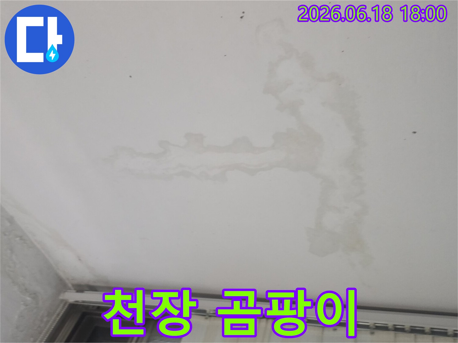 윗집-누수로-인해-천장에-발생한-물-얼룩은-곰팡이-번식으로-이어질-수-있어-신속한-전문가-조치가-필요함을-보여줍니다