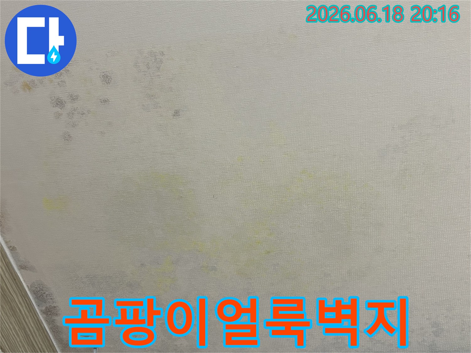 누수로-인해-벽지에-생긴-얼룩과-곰팡이-번짐을-보여주는-사진