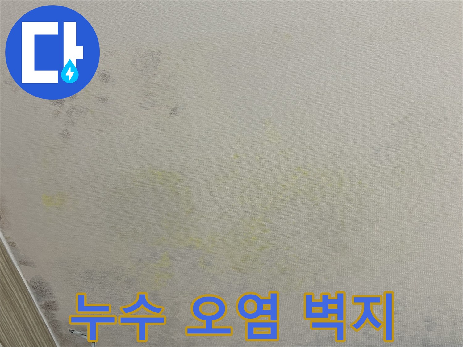 누수로 인해 얼룩진 아파트 내부 벽면의 곰팡이 발생 사진입니다.