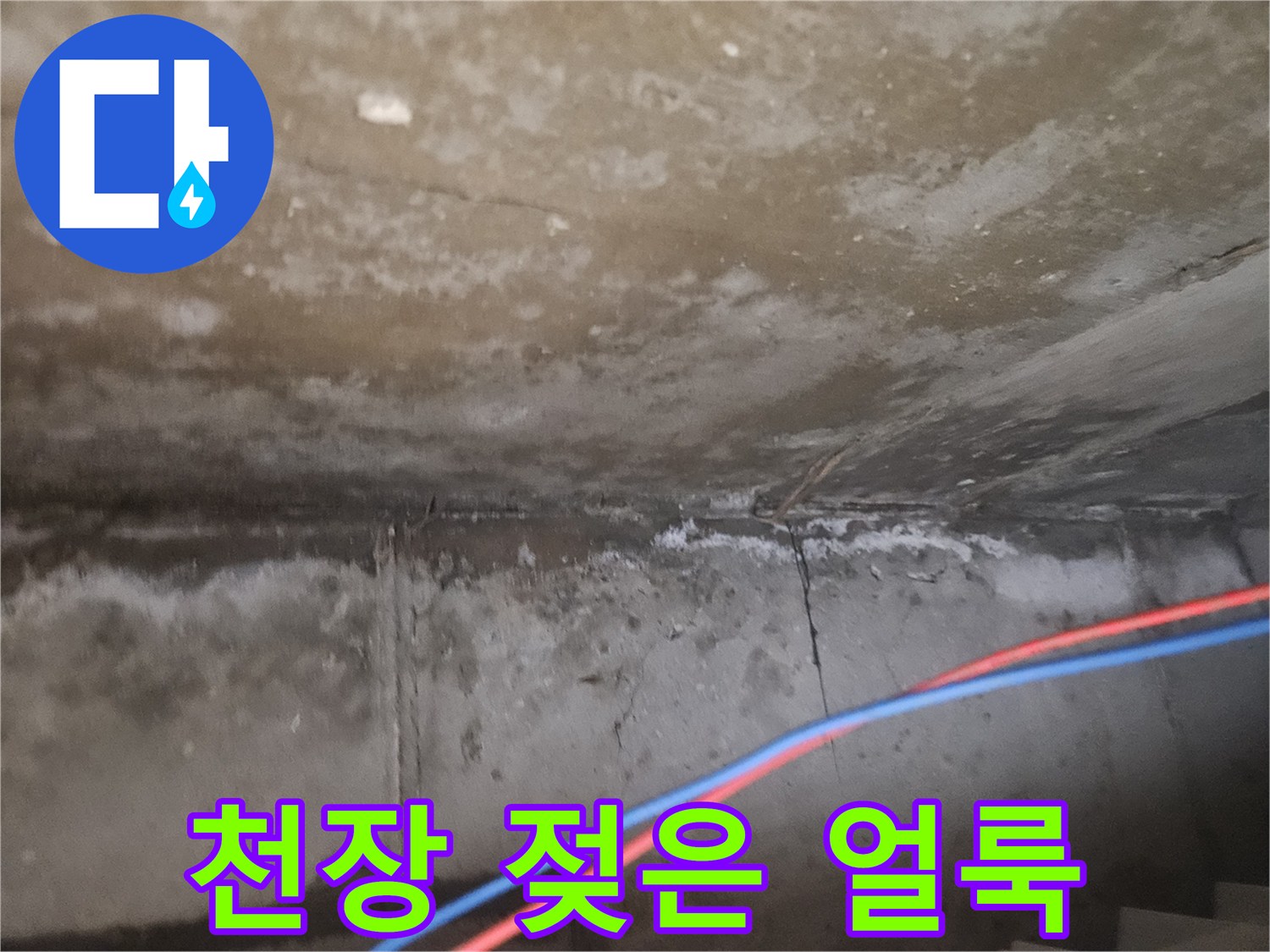 물기가 스며들어 어둡게 변한 천장 부위