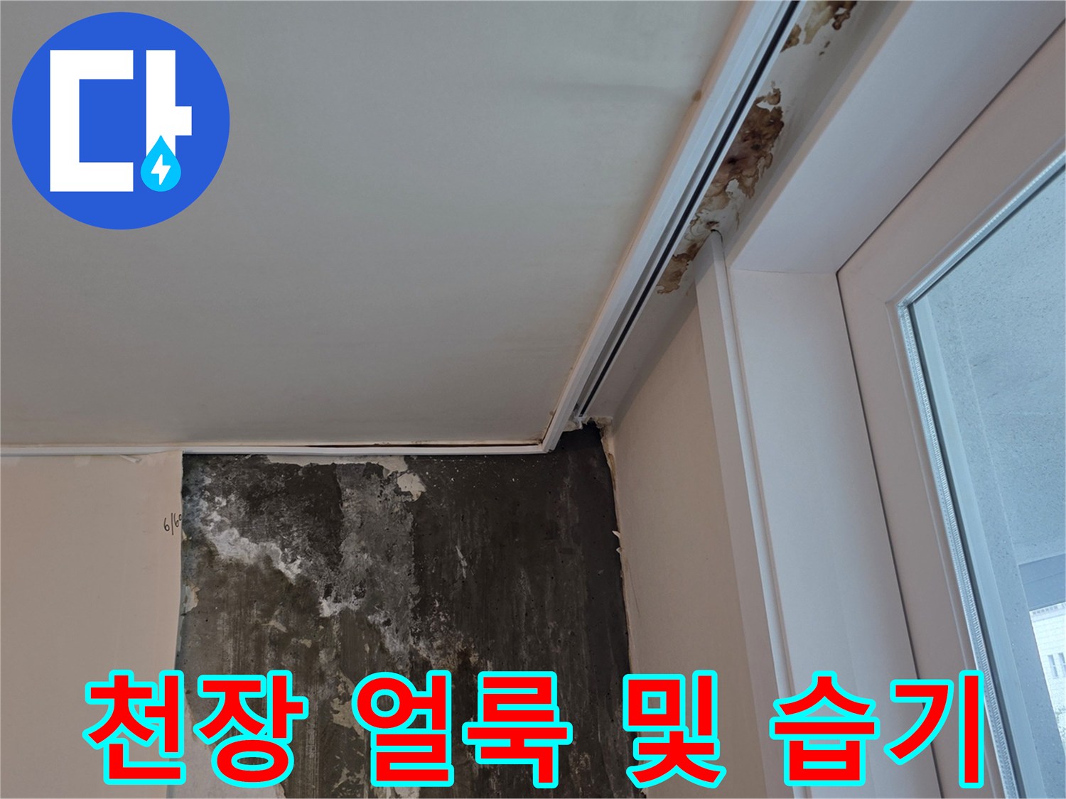 욕실 천장재-벽면 경계의 오염된 부위