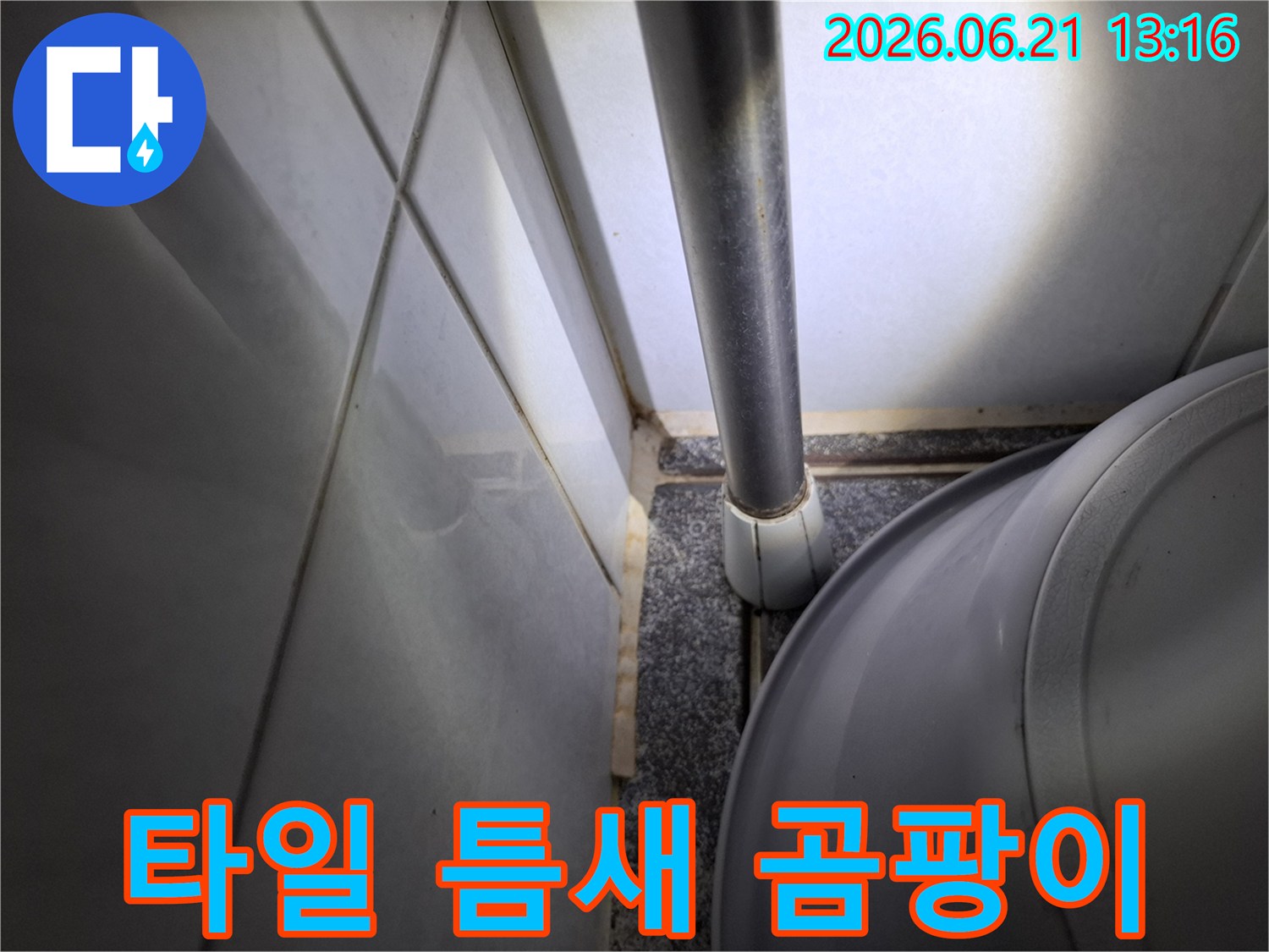 군포 한라주공 아파트-욕실 벽면 타일 틈새에서-누수로 인한-검은 곰팡이가-발견된 모습